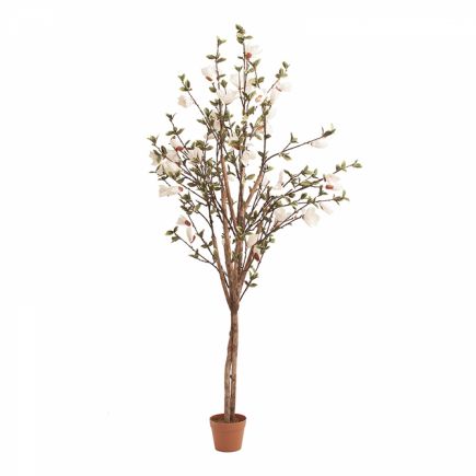 Magnolia Maurice Artificial Plant : Procomobel