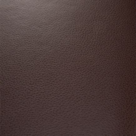 Leather Dining Chair Dc | Procomobel