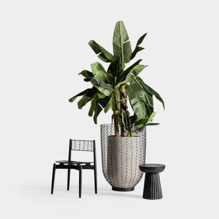 Clement Wooden Side Table | Procomobel