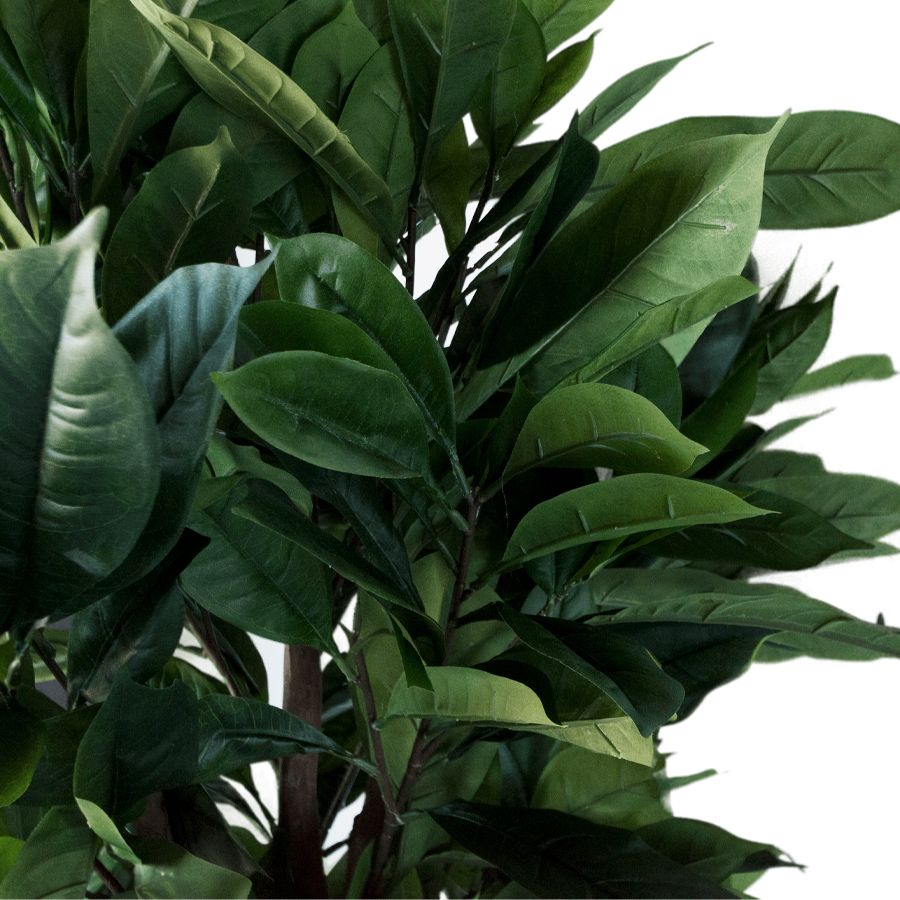 Artificial Japanese Loquat 'Seiren' Tree