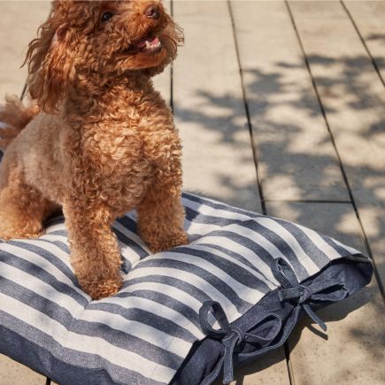 Foto en Ambiente Cojín Algodón Mascota ‘Tabby’ Perro
