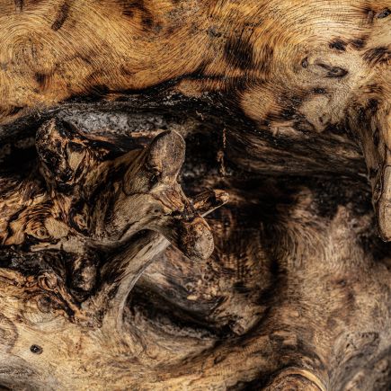 Imagen de Detalle Consola Orgánica Durieux