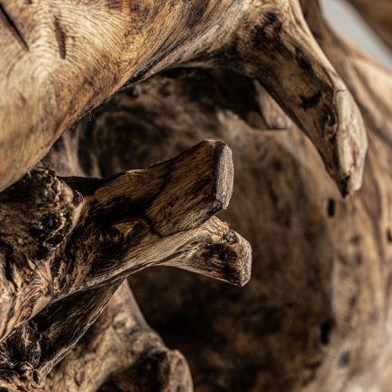 Detalle Consola Orgánica Durieux