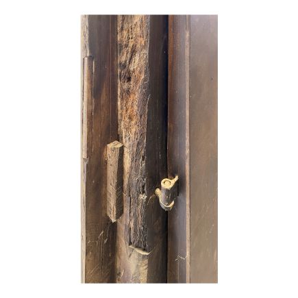 Detalle Trasero Puerta Antigua Tallada de Teca ‘Narmada’