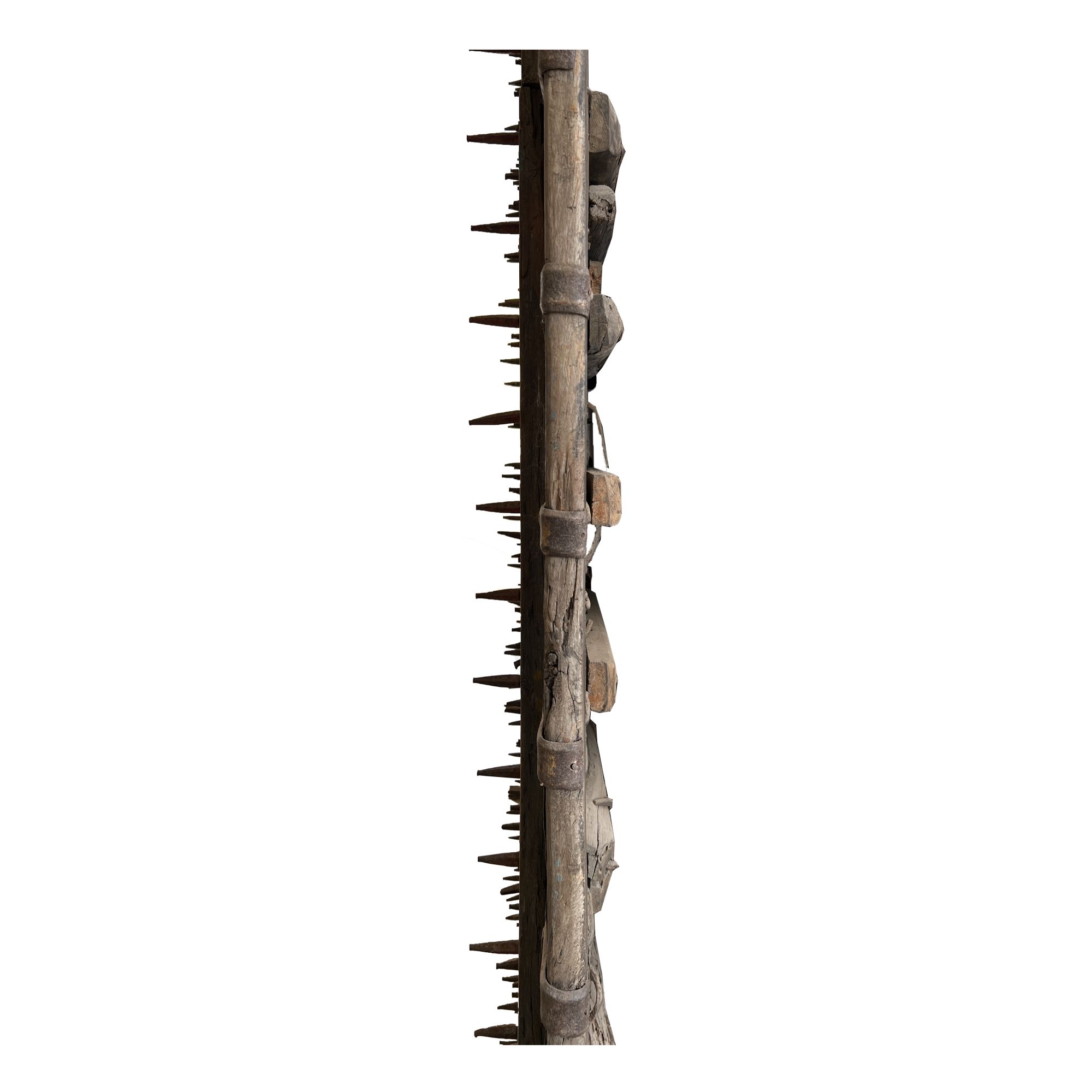 Antique Teak Carved Gate 'Damodar'