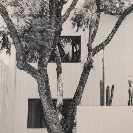 Imagen de Detalle Cuadro Blanco y Negro ‘James II’