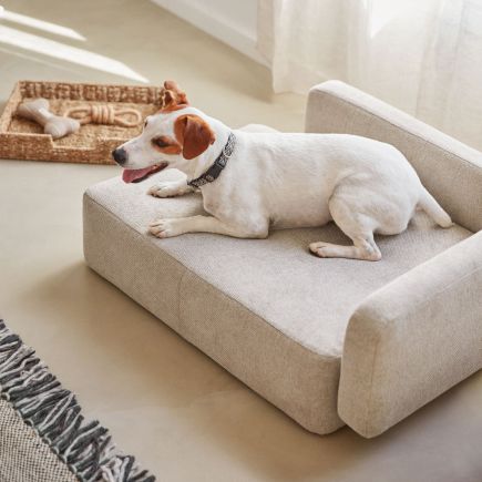 Foto en Ambiente Cama para Mascota ‘Bowie’ Beige Animal