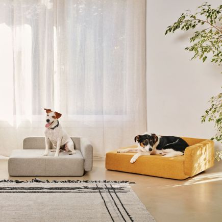 Foto en Ambiente Cama para Mascota ‘Bowie’ Beige Mostaza