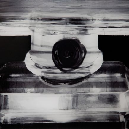 Imagen de Detalle Cuadro Mona ‘Guinet’