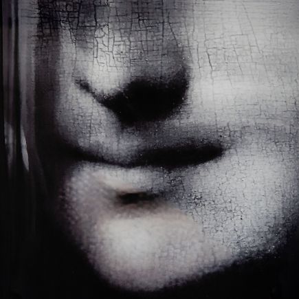 Detalle del Cuadro Mona ‘Guinet’
