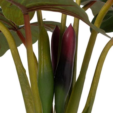 Imagen de Detalle Planta Artificial ‘Yuri’