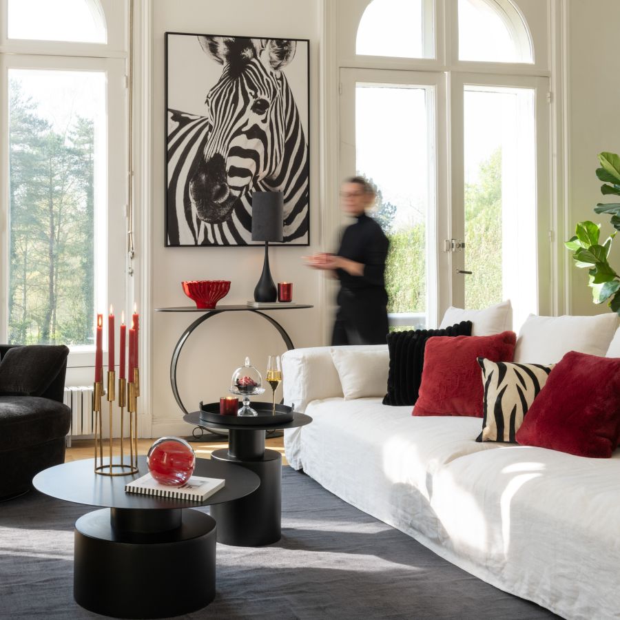 Zebra 'Nagy' Pillow