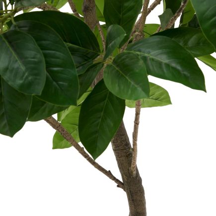 Imagen de Detalle Árbol Artificial Ficus