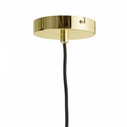 Ceiling Lamp with Planter Helga | Procomobel