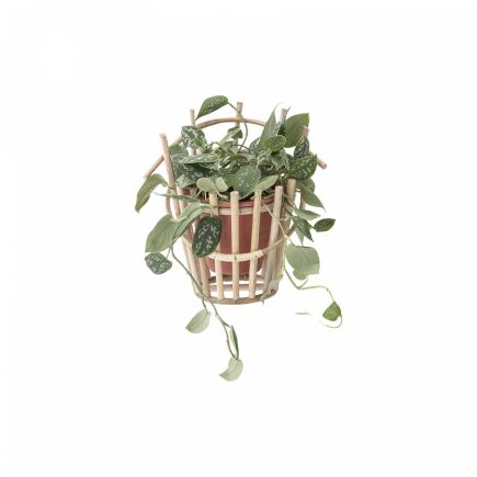 Lena Cane Wall Planter : Procomobel