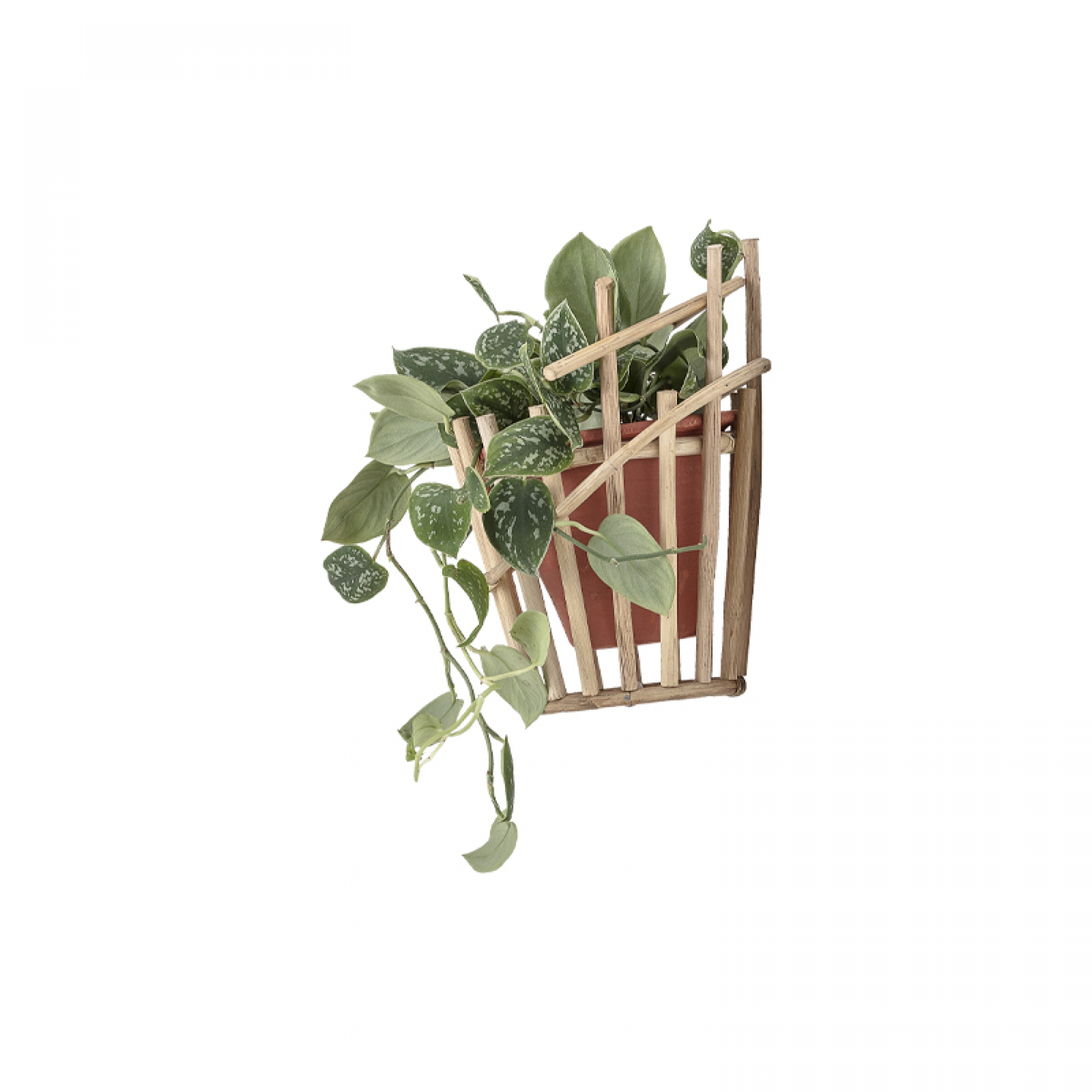 Cane Wall Planter 'Lena'