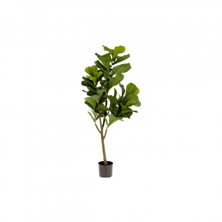 Planta artificial ‘Ficus’ 150 cm