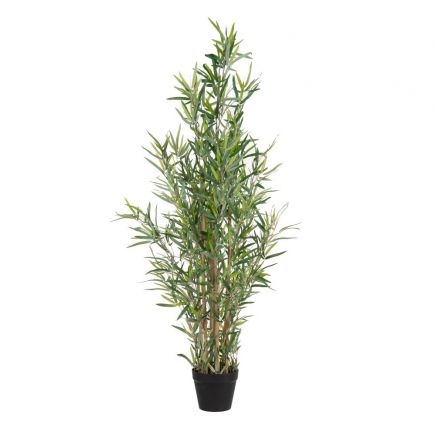 Green Plant 200cm 'Bambu' | Procomobel