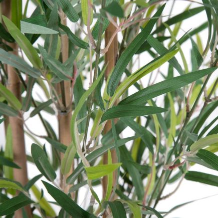 Imagen de Detalle Planta Verde 200cm Bambu