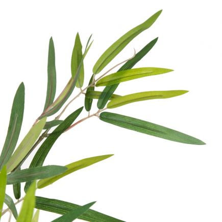 Green Plant 200cm 'Bambu' | Procomobel