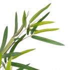 Detalle hoja Planta Verde 200cm Bambu