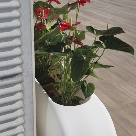 Rectangular Planter Clavel | Procomobel