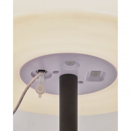 Amaray Portable Outdoor Table Lamp : Procomobel