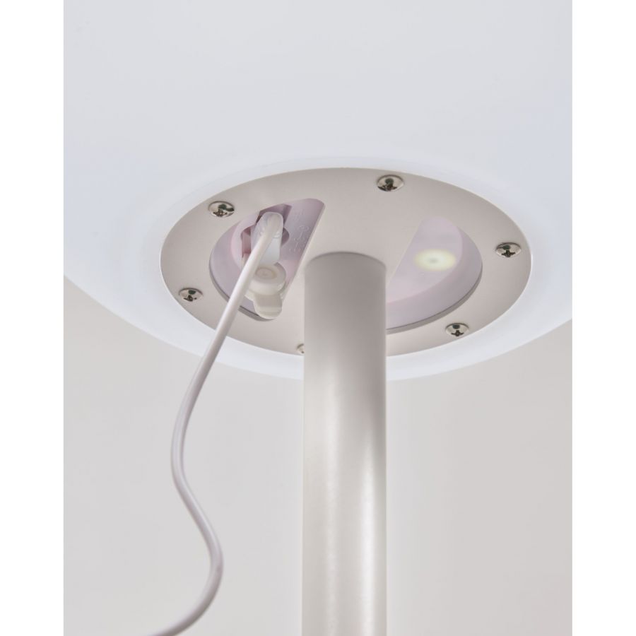 Dinesh' Steel Outdoor Table Lamp
