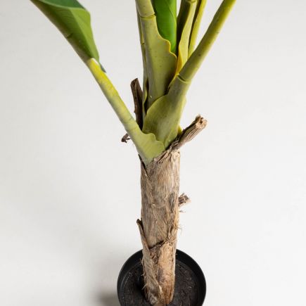Imagen de Detalle Planta Artificial con Maceta 160cm Banano