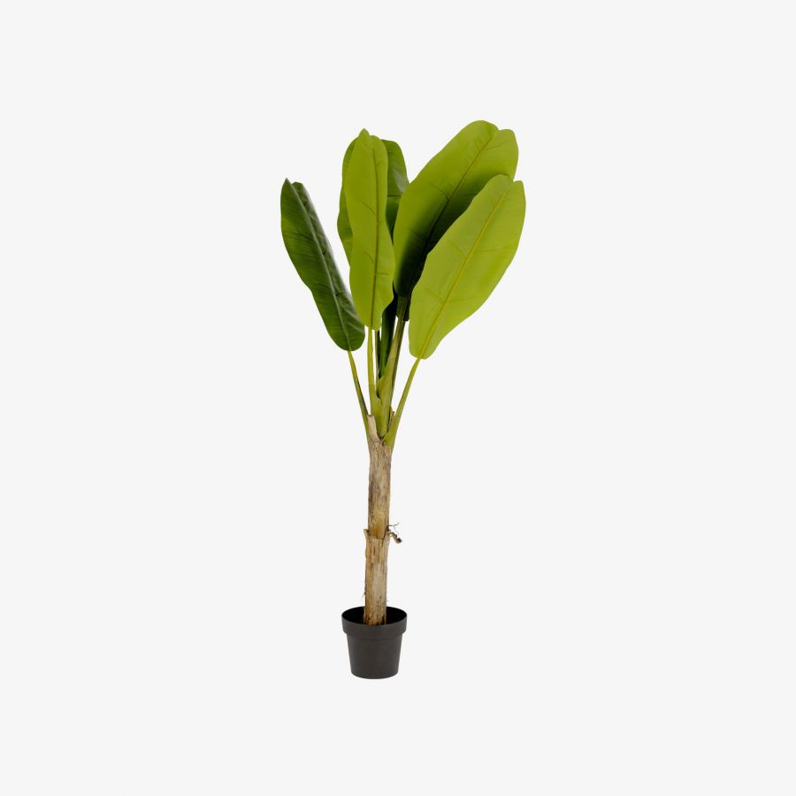 Planta Artificial con Maceta 160cm Banano