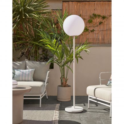 Synthetic Plant with Pot Black Palm Tree : Procomobel