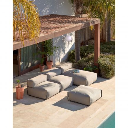 Synthetic Plant with Pot Black Palm Tree : Procomobel