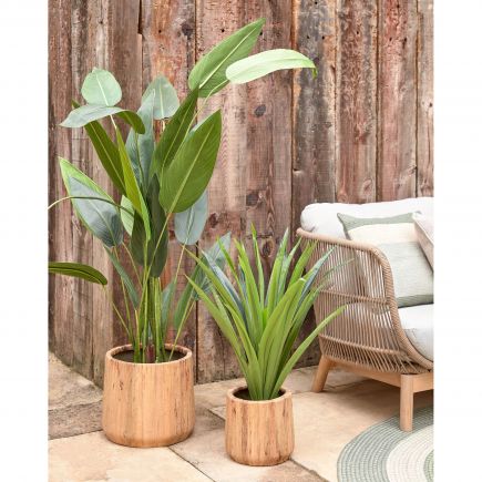 Artificial Plant 80cm Yucca : Procomobel