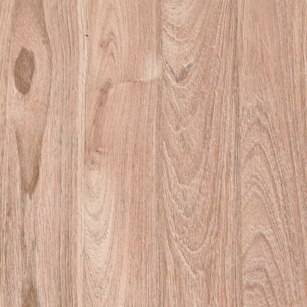 Round Dining Table Ava | Procomobel