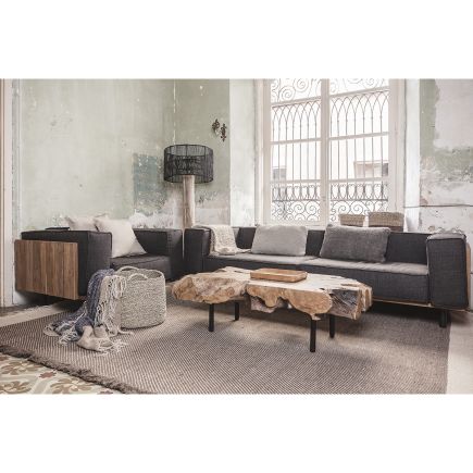 Hazel Teak Root Coffee Table : Procomobel
