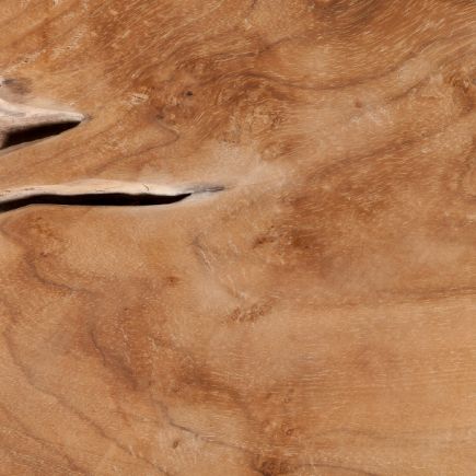 Imagen de Detalle Taburete de Raíz de Teca Paige