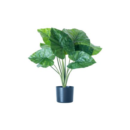 Artificial Plant Alocasia 'Odora' | Procomobel