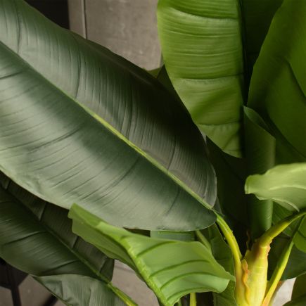 Artificial Banana Plant 'Louis' : Procomobel