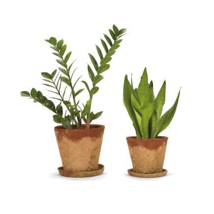 Cement Pot 'Miguel' | Procomobel