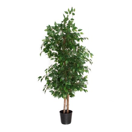 Planta Sintética Ficus ‘Bastos’