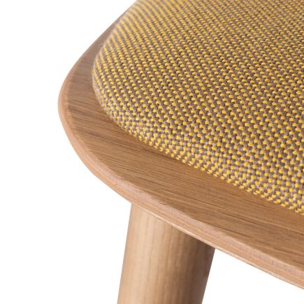Buy Online Wooden Chair with Pad Upholstery 'Bisell' at Procomobel