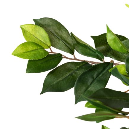 Imagen de Detalle Planta Artificial Ficus Zheny